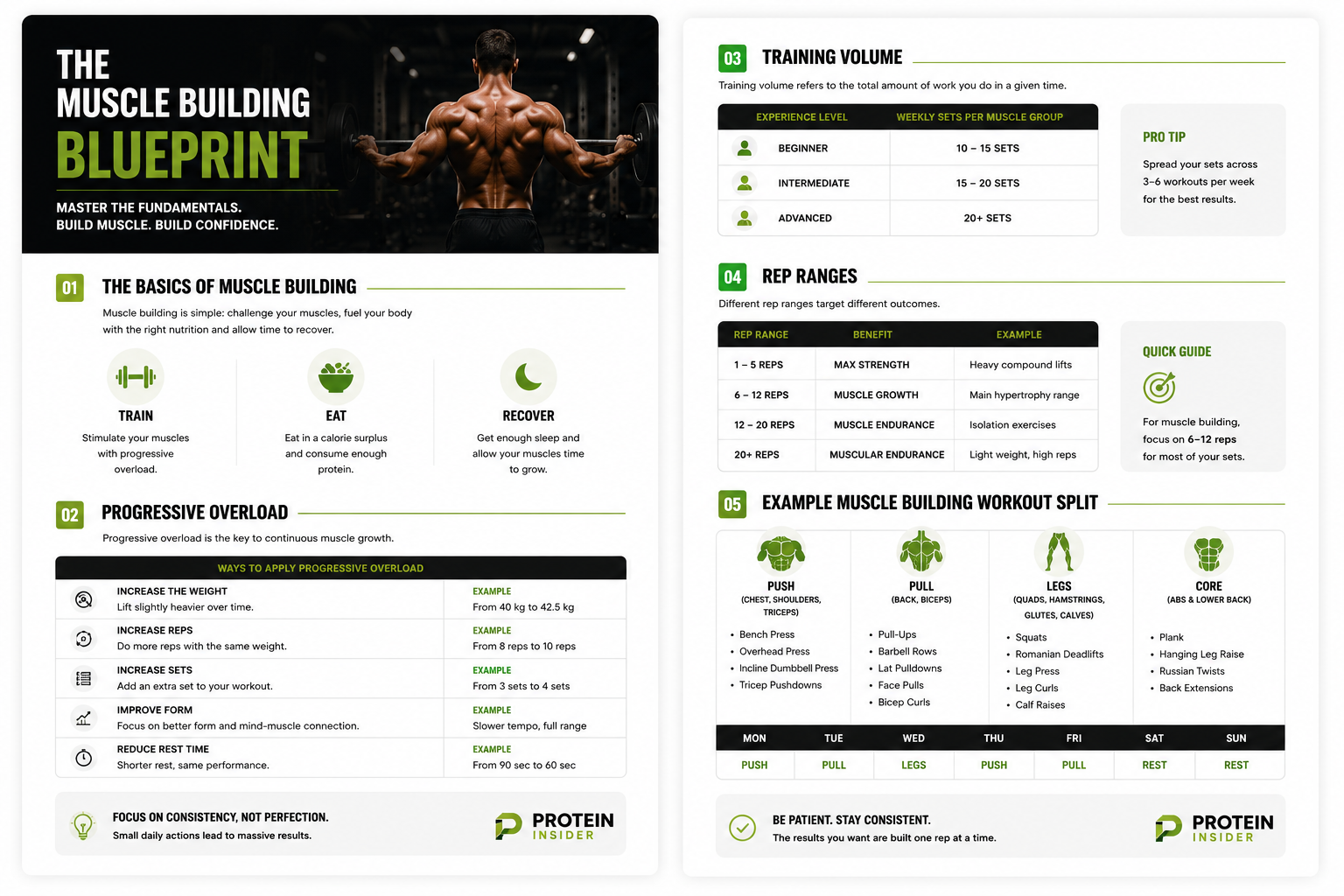 The Muscle Building Blueprint preview